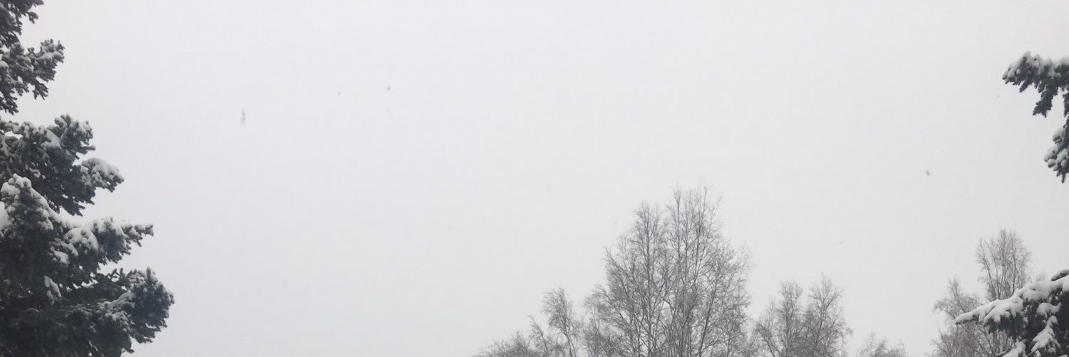 susiestevenss's profile banner image