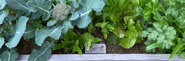 rick_j_taylor Profile Banner