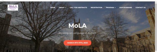 MtgLanguageASD Profile Banner