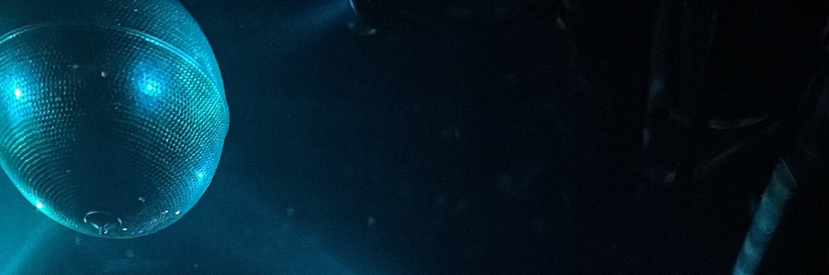 rockkimkim's profile banner image