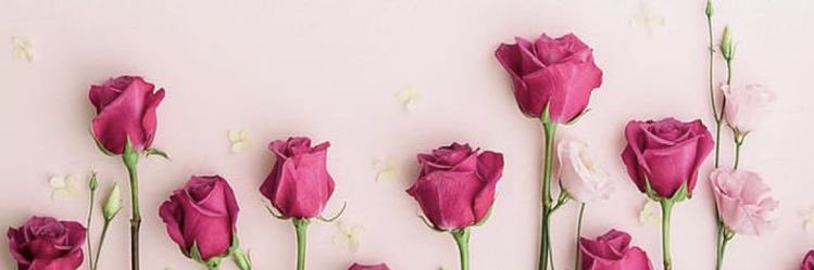 SharEscolche's profile banner image
