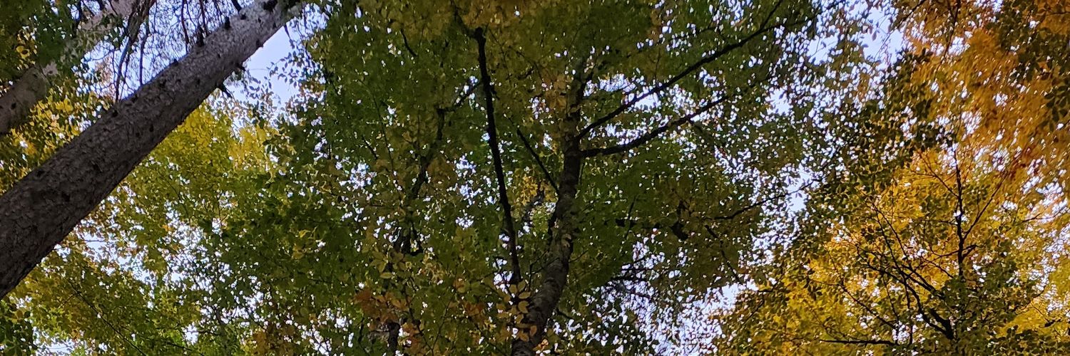boldpilot0000's profile banner image