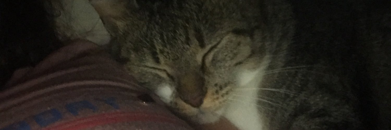 JuliAvilaOk's profile banner image