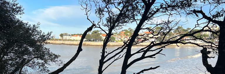 Jean-Pierre Ferré banner