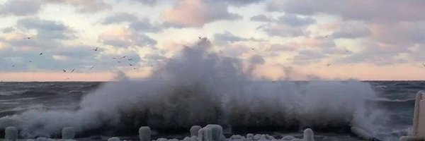 MaryBridgetEdu Profile Banner