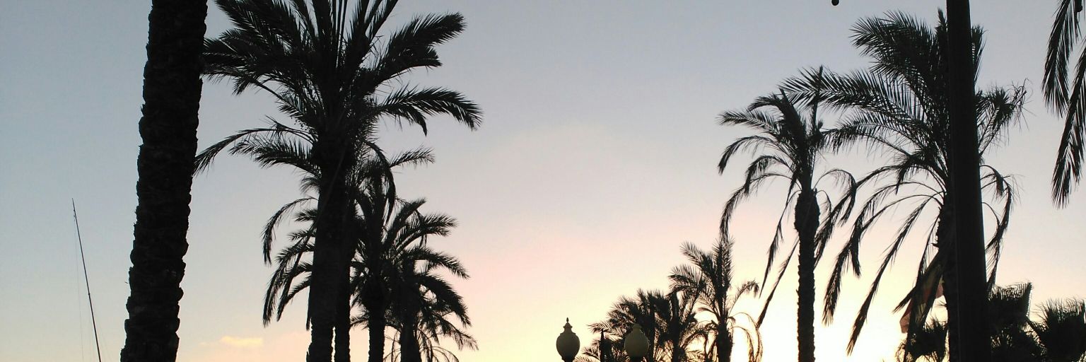 albacerca9's profile banner image