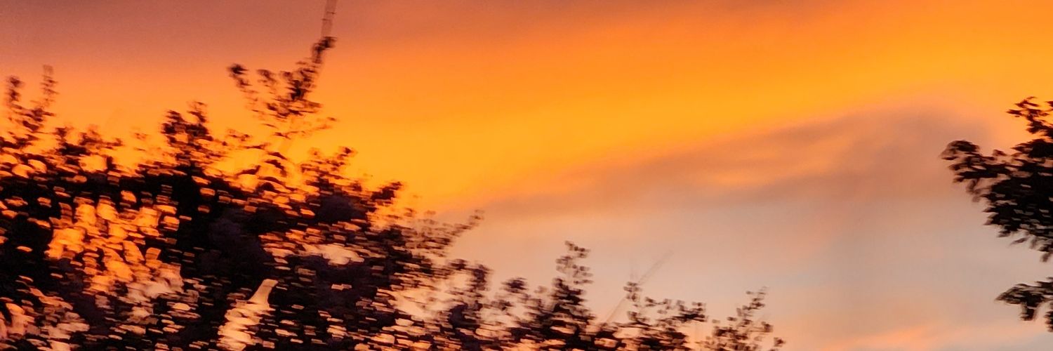 stevpny's profile banner image