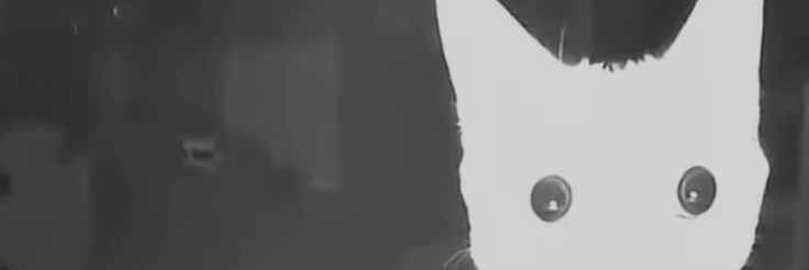 SoicUwu's profile banner image