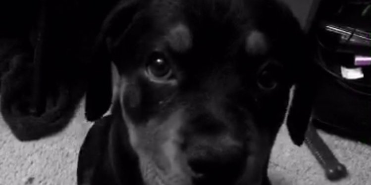 a5thoFCReeZz's profile banner image