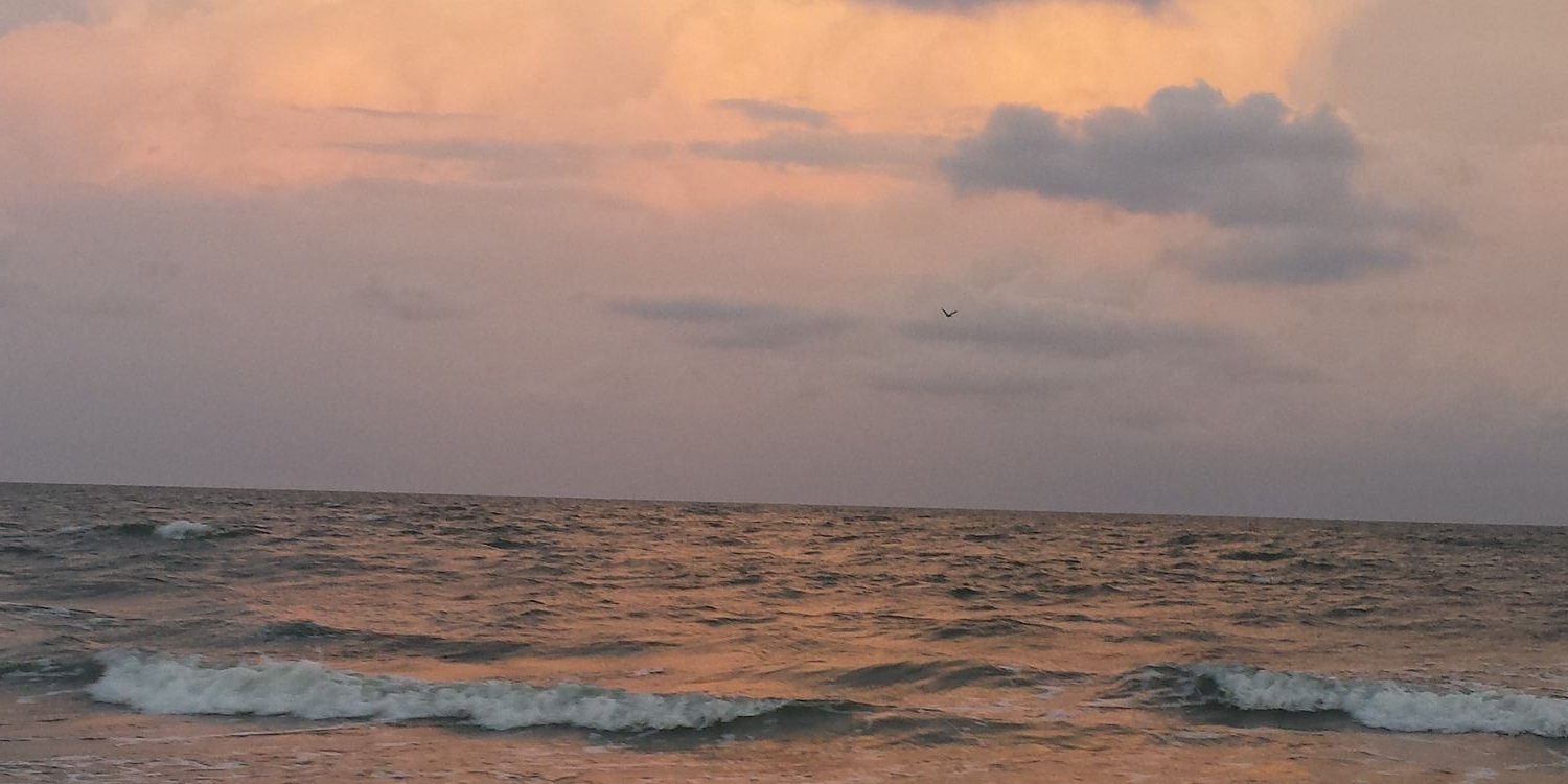 AmandaHoskinson's profile banner image