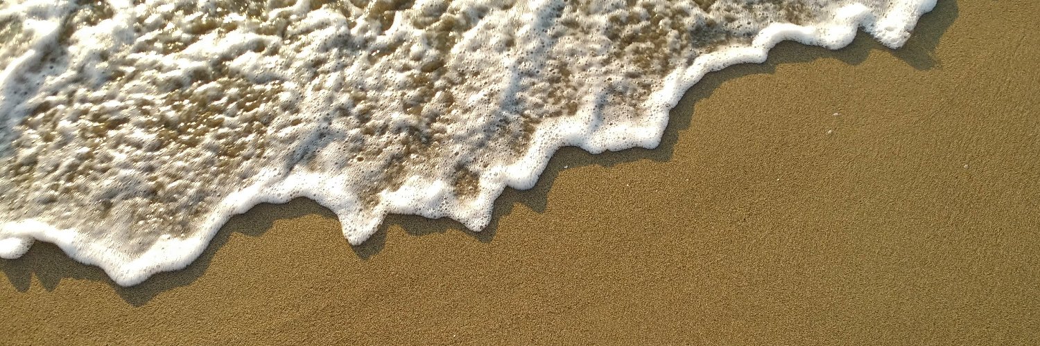 filippocarin's profile banner image