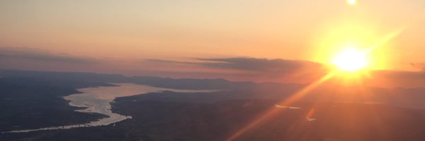 Halesflax Profile Banner
