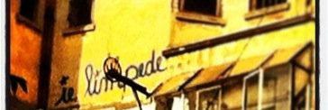 StelaNadoleanu's profile banner image