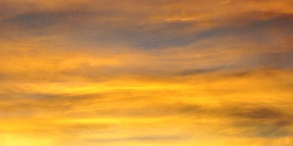 shntry's profile banner image