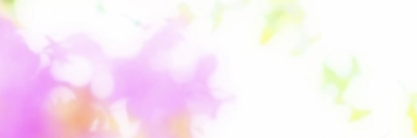 chaco banner