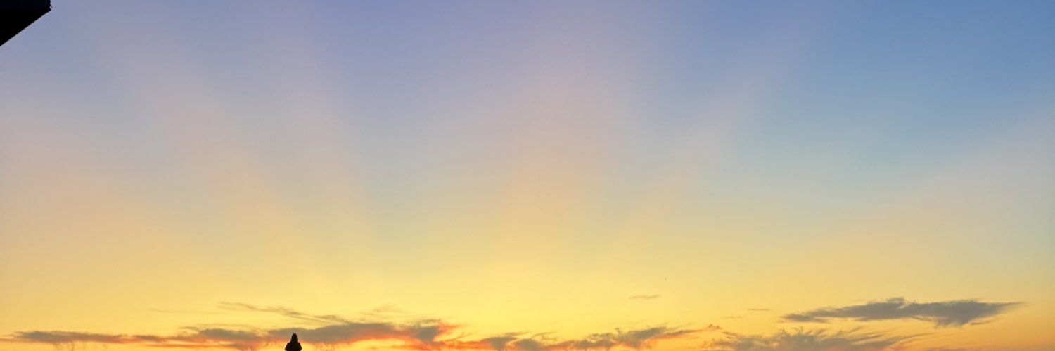Mr_Levi_Lewis's profile banner image