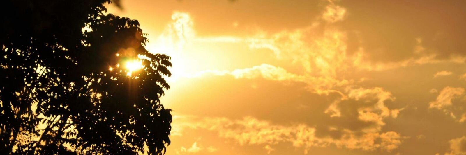 biiabeea's profile banner image