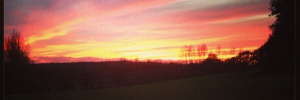 Shabs_Abbie Profile Banner