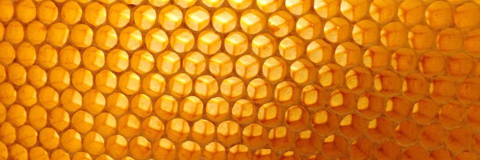 e_roussel's profile banner image