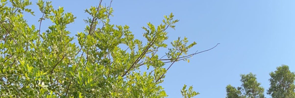 sun_9q's profile banner image