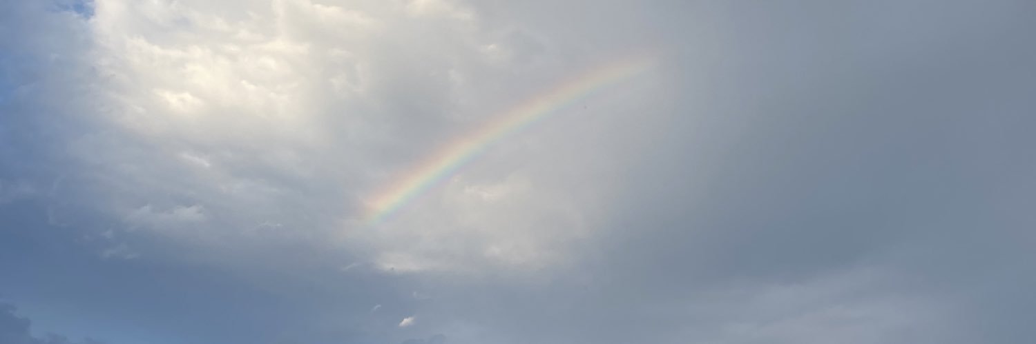 asi3tta's profile banner image