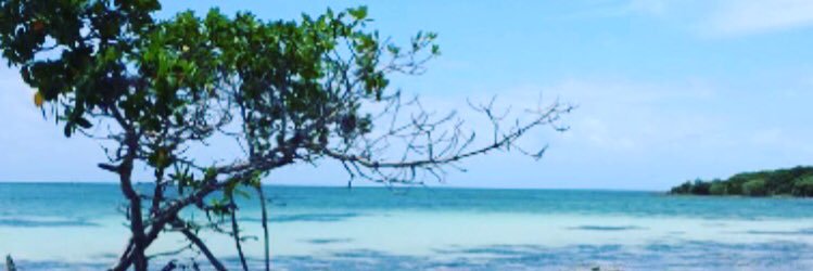 Siegrist_3's profile banner image
