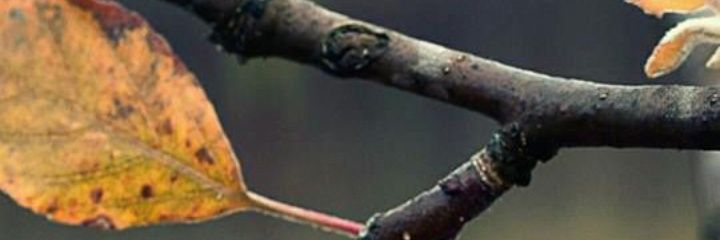 PakTourism_'s profile banner image