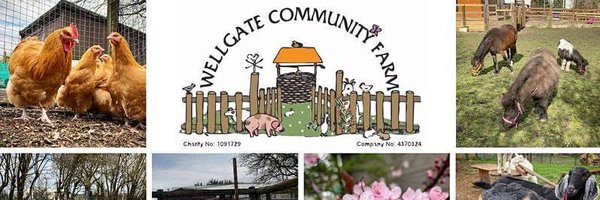 WellgateFarm1 Profile Banner