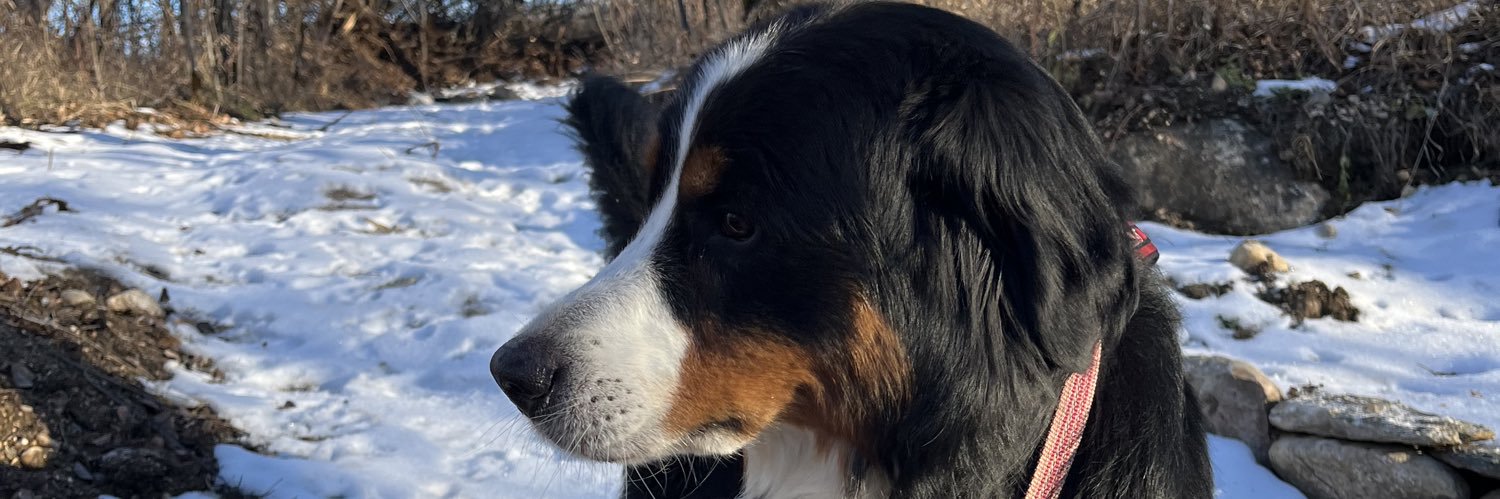 Denene Little banner