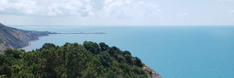 Dimacratia🪿 banner