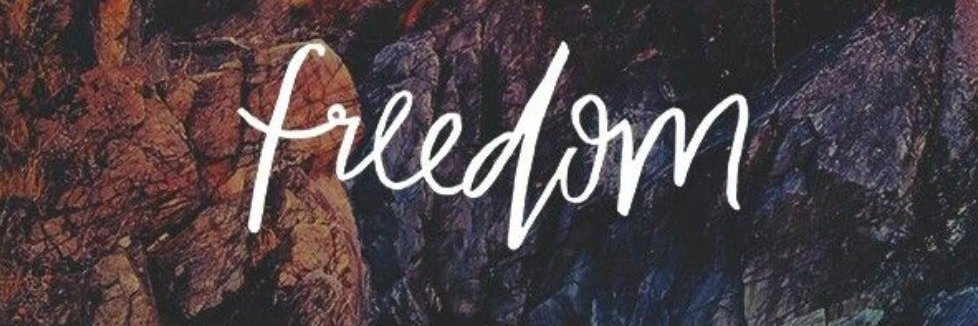 stacywaldmann's profile banner image