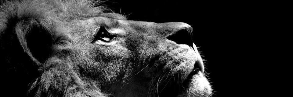 MarcosSr012's profile banner image