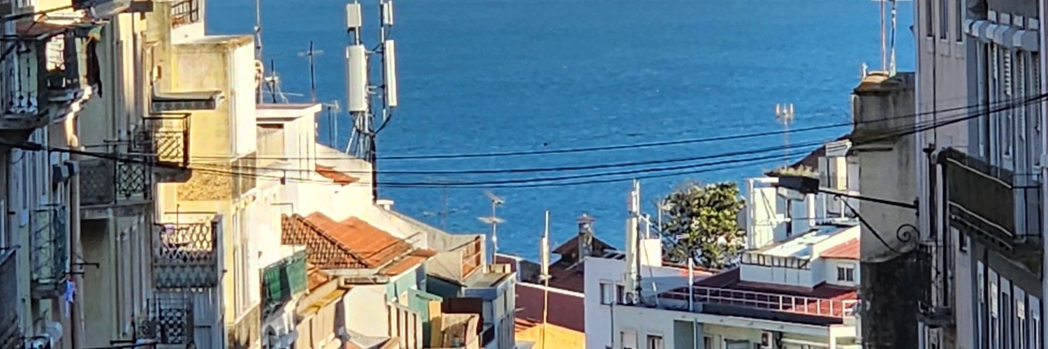 wild seed of the yam banner