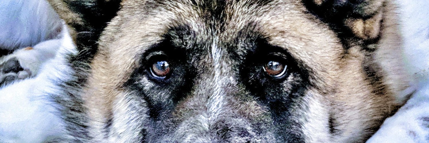 Andy Theo banner
