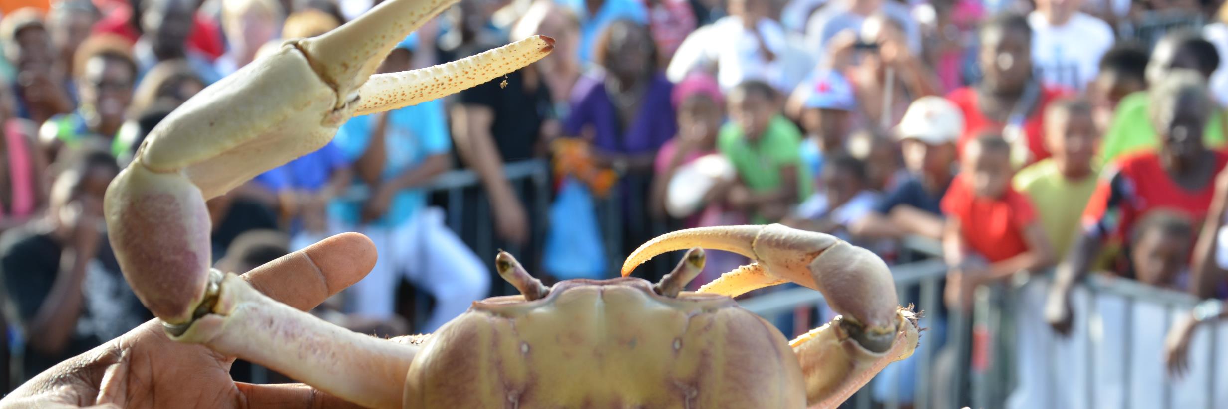 Franck GARAIN banner