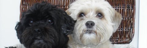 ba_beale's profile banner image