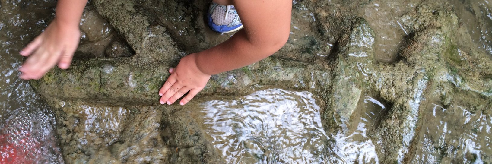 Jenn Trampleasure banner