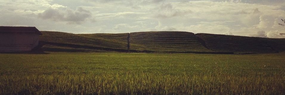 puypupuy's profile banner image