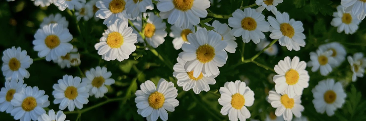 lisejct's profile banner image