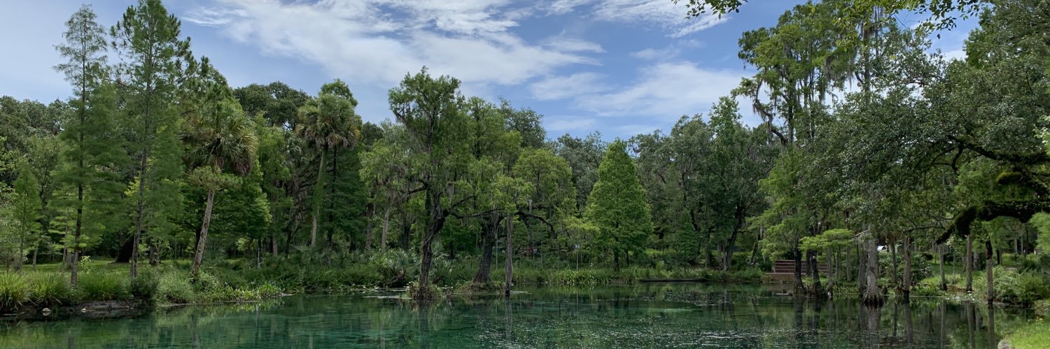 Leanne Stepchinski banner