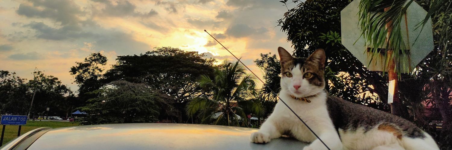 MNSyahir's profile banner image