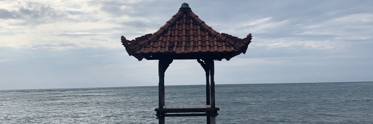 Shaik One About banner