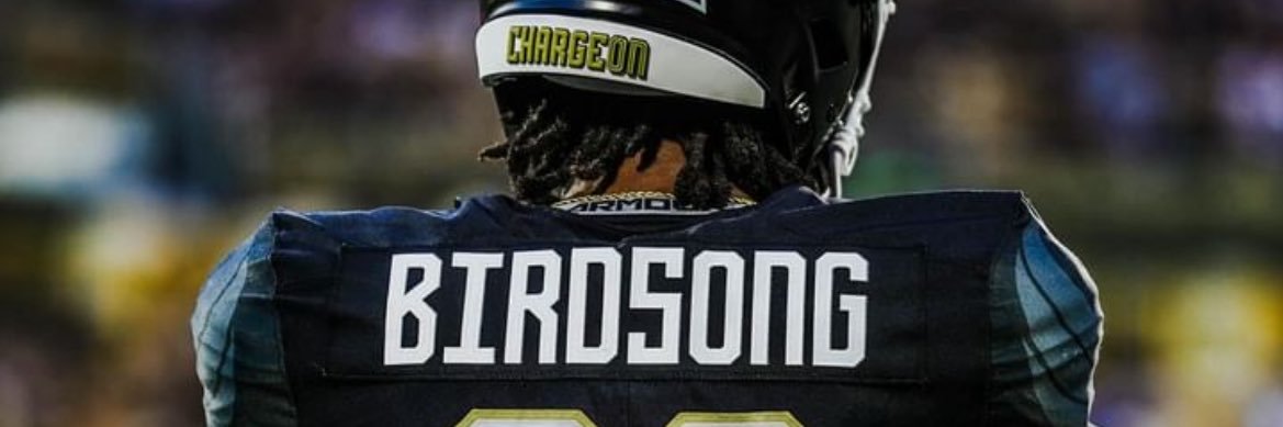 B.I.R.D.M.A.N “Qua Birdsong”'s banner