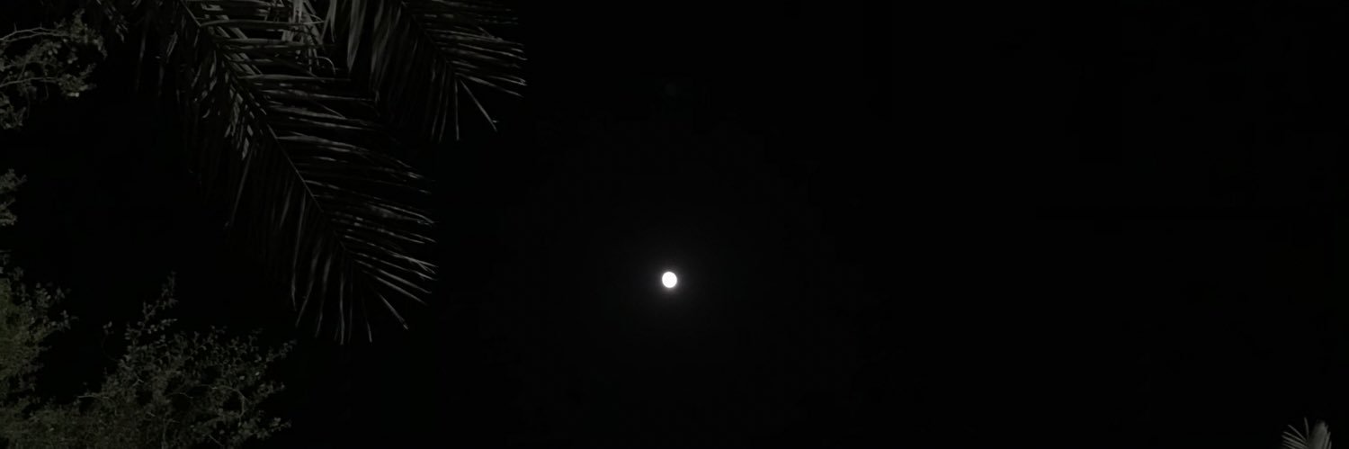 partsky1's profile banner image