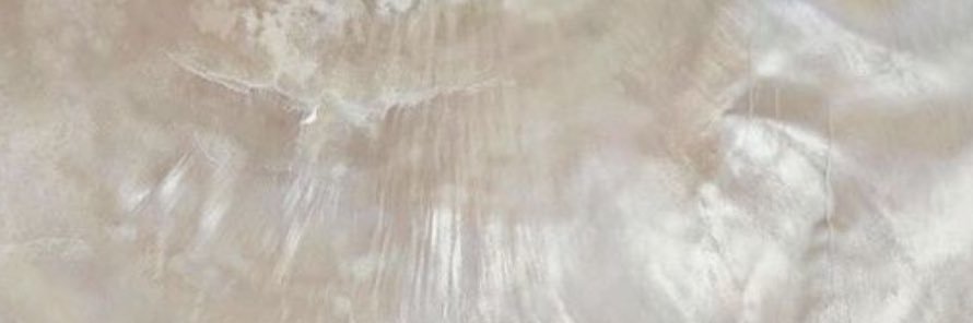 THEELAMYA's profile banner image