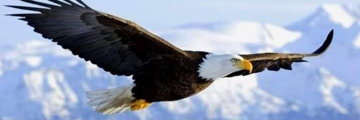 georgesbitar69's profile banner image