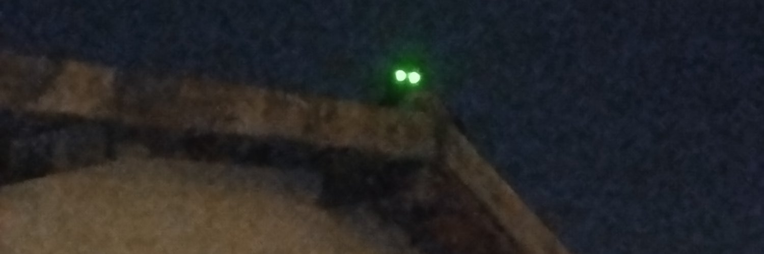 Tom Black 🃏🤠 banner