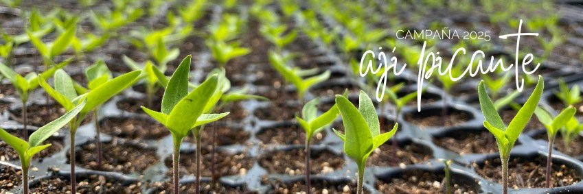 agronortecoop's profile banner image