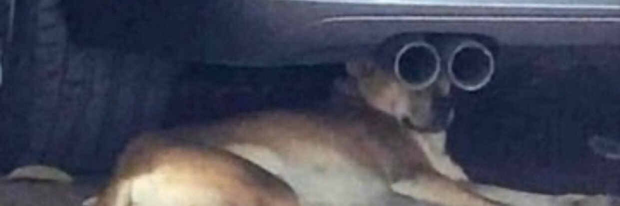 Ant_Kins's profile banner image