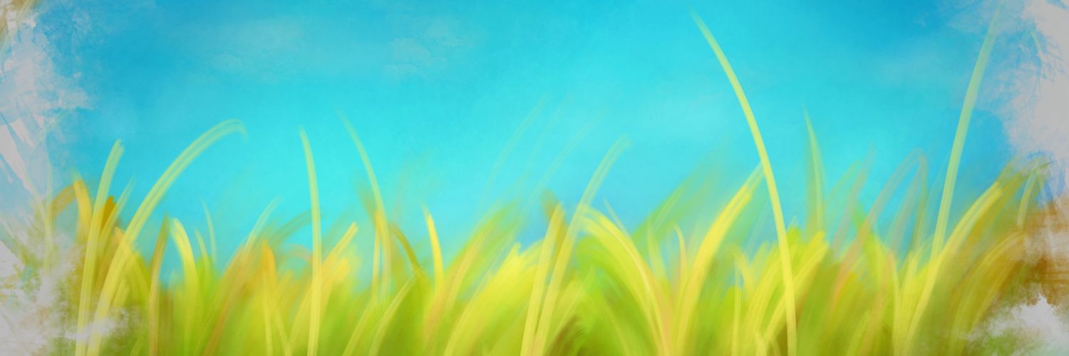 sol_dormindo's profile banner image